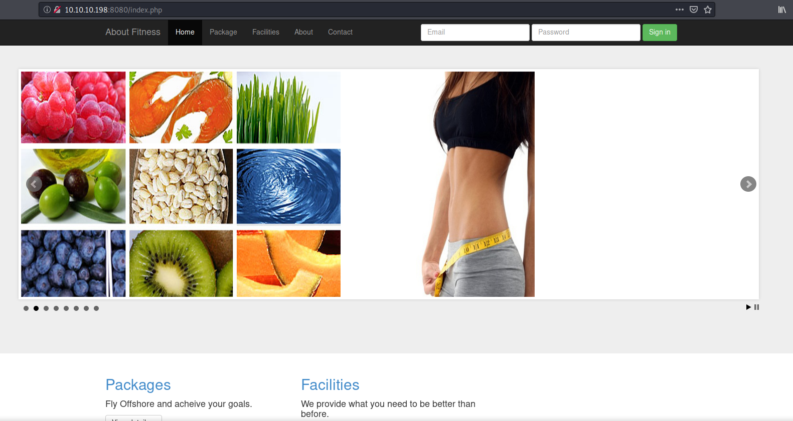 port8080_index_website